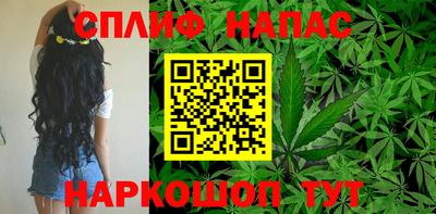 СК Малгобек