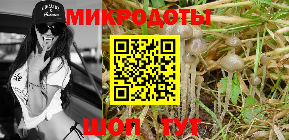 Псилоцибиновые грибы Psilocybe  Вход с VPN  Галлюциногенные грибы MAGIC MUSHROOMS  Бузулук 
